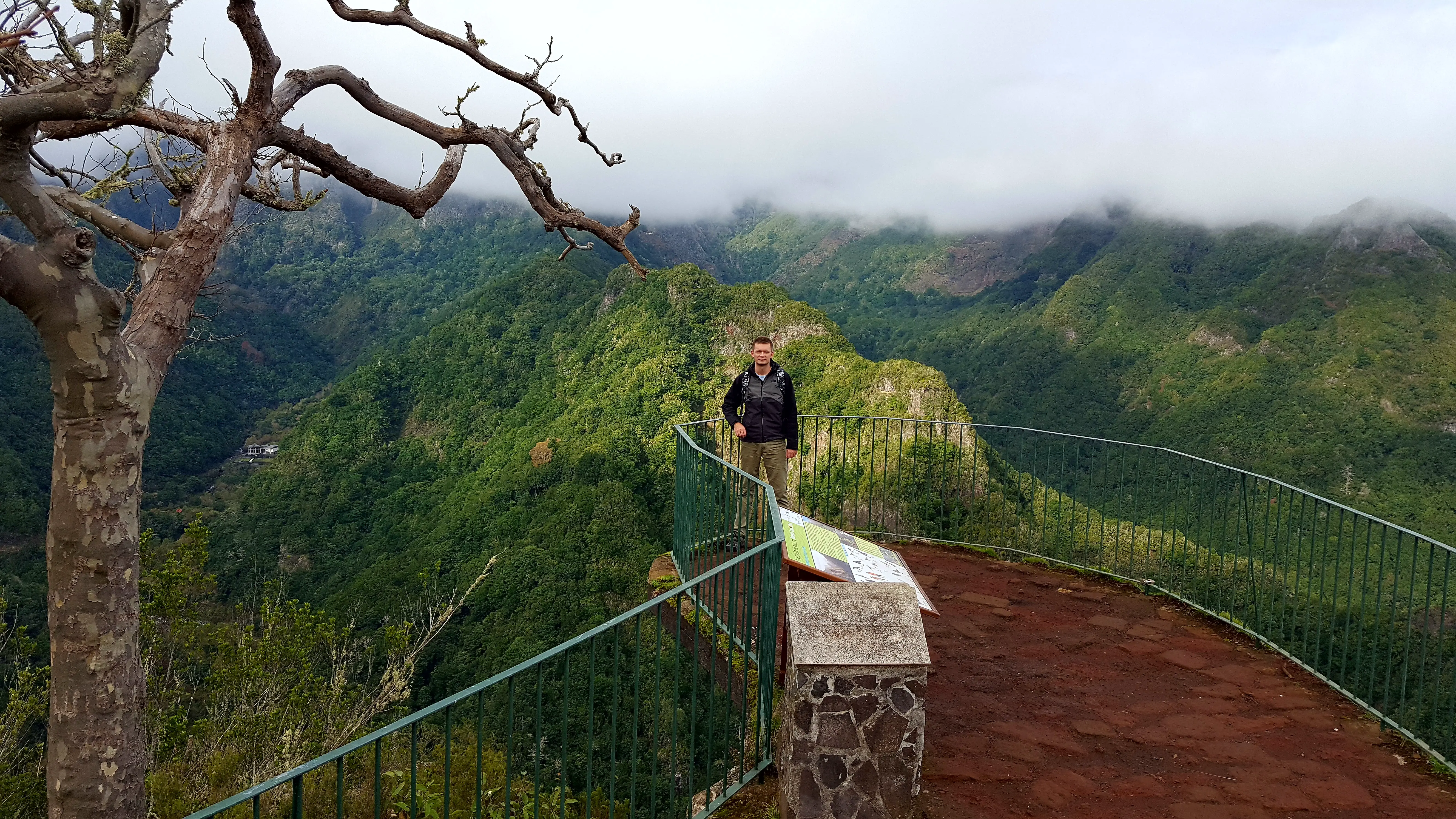 Things to do in Madeira Balcoes view