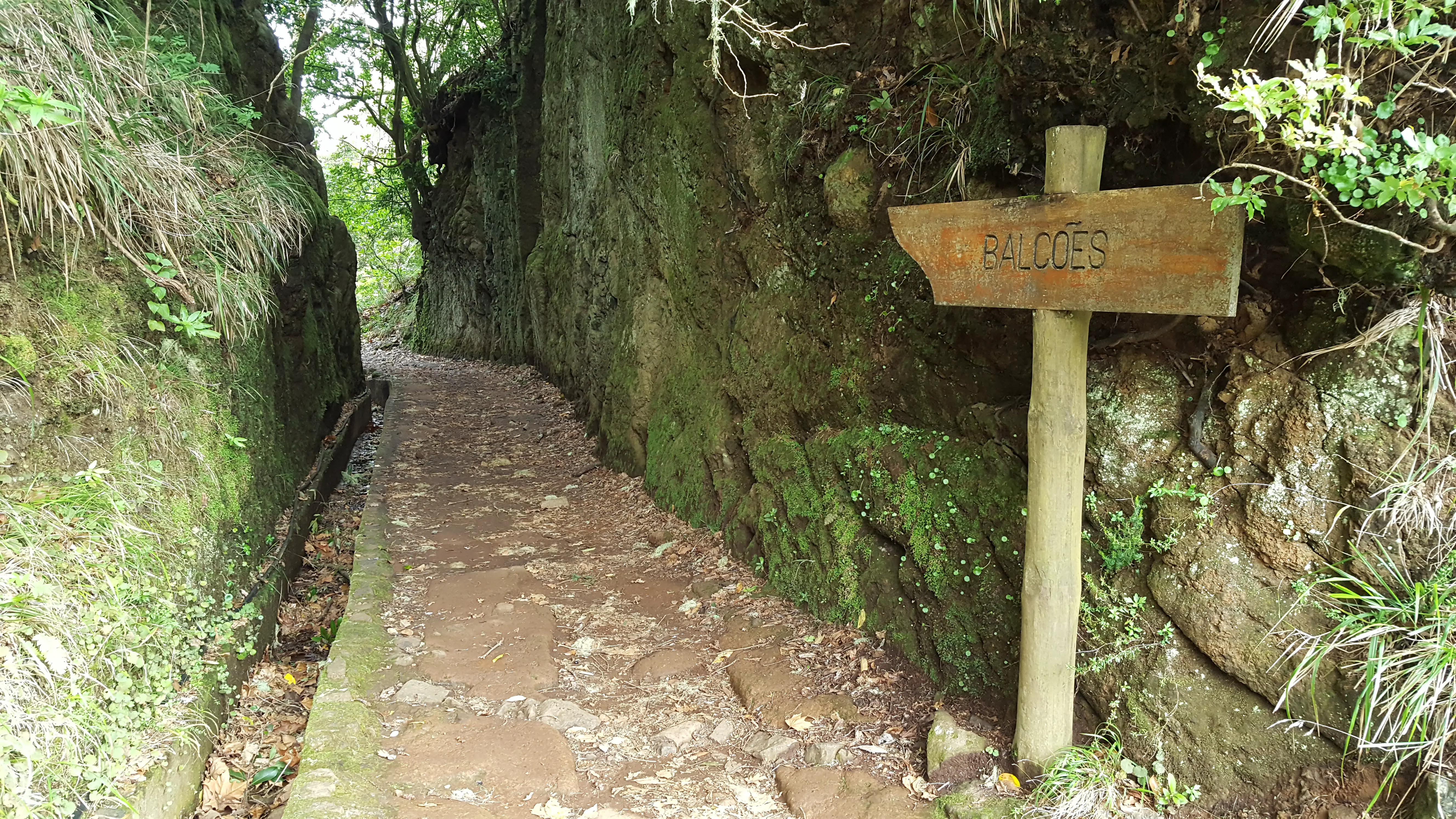 Things to do in Madeira Balcoes