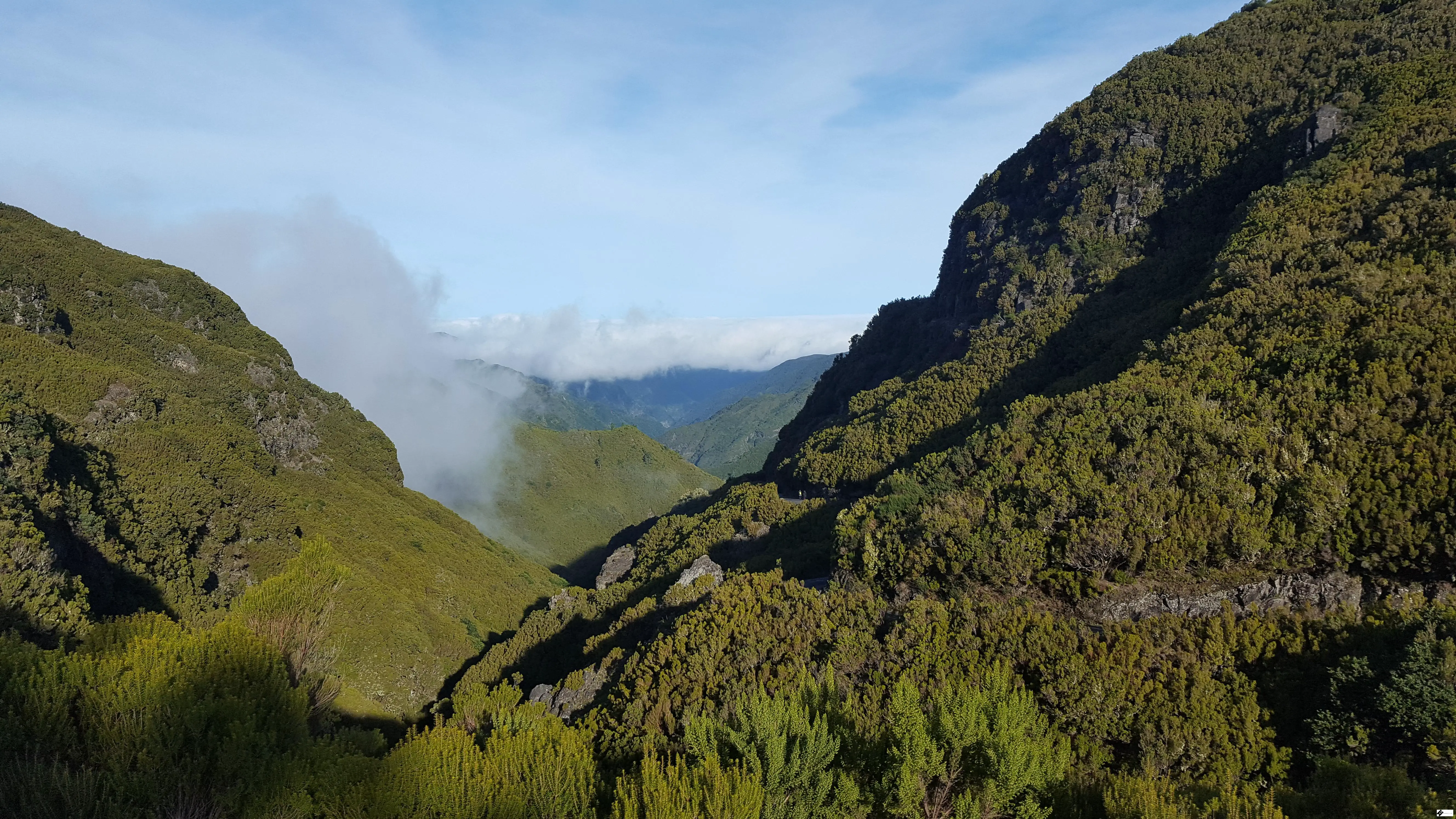Things to do in Madeira Levada das 25 Fontes views