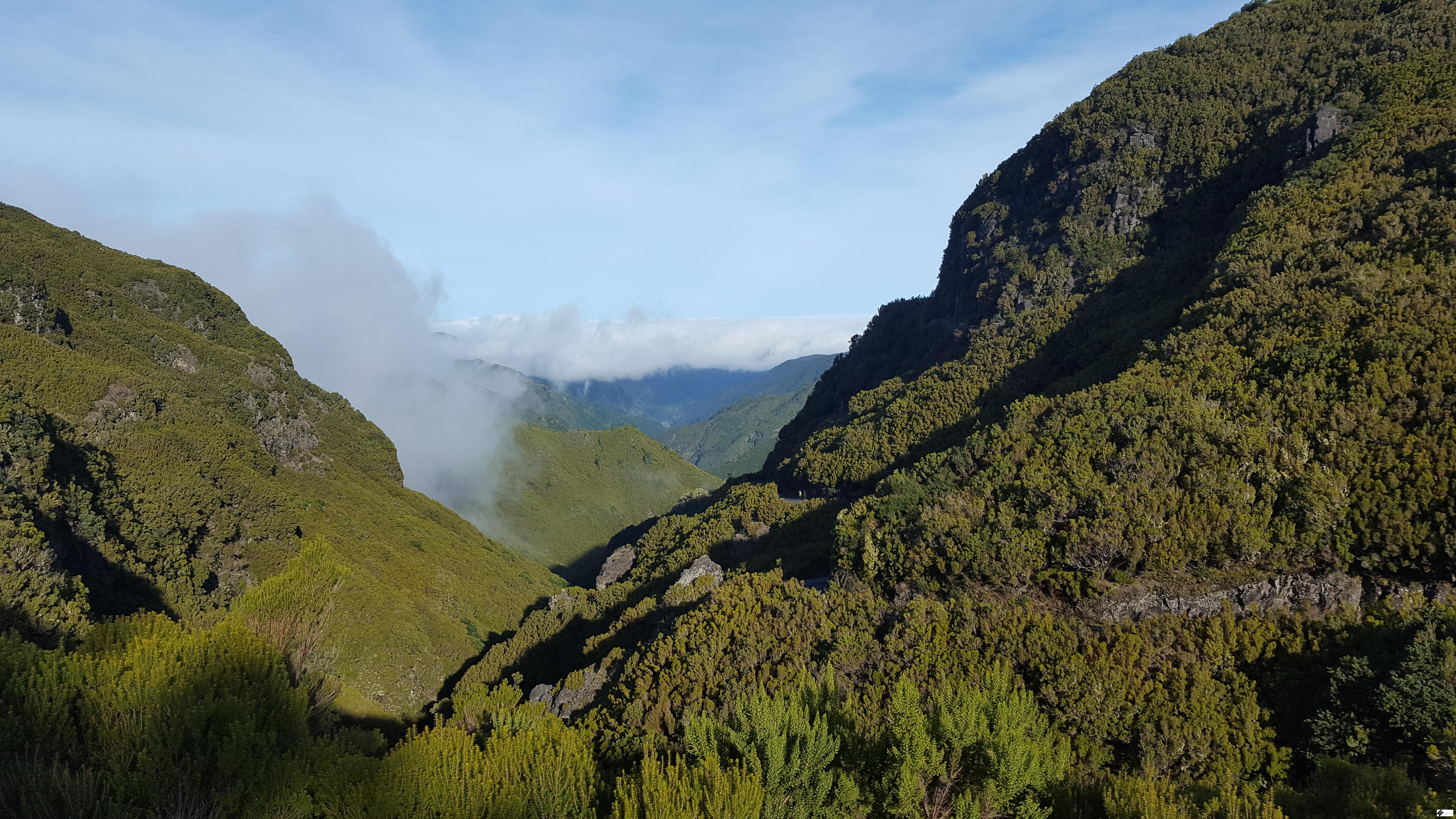 Things to do in Madeira Levada das 25 Fontes views