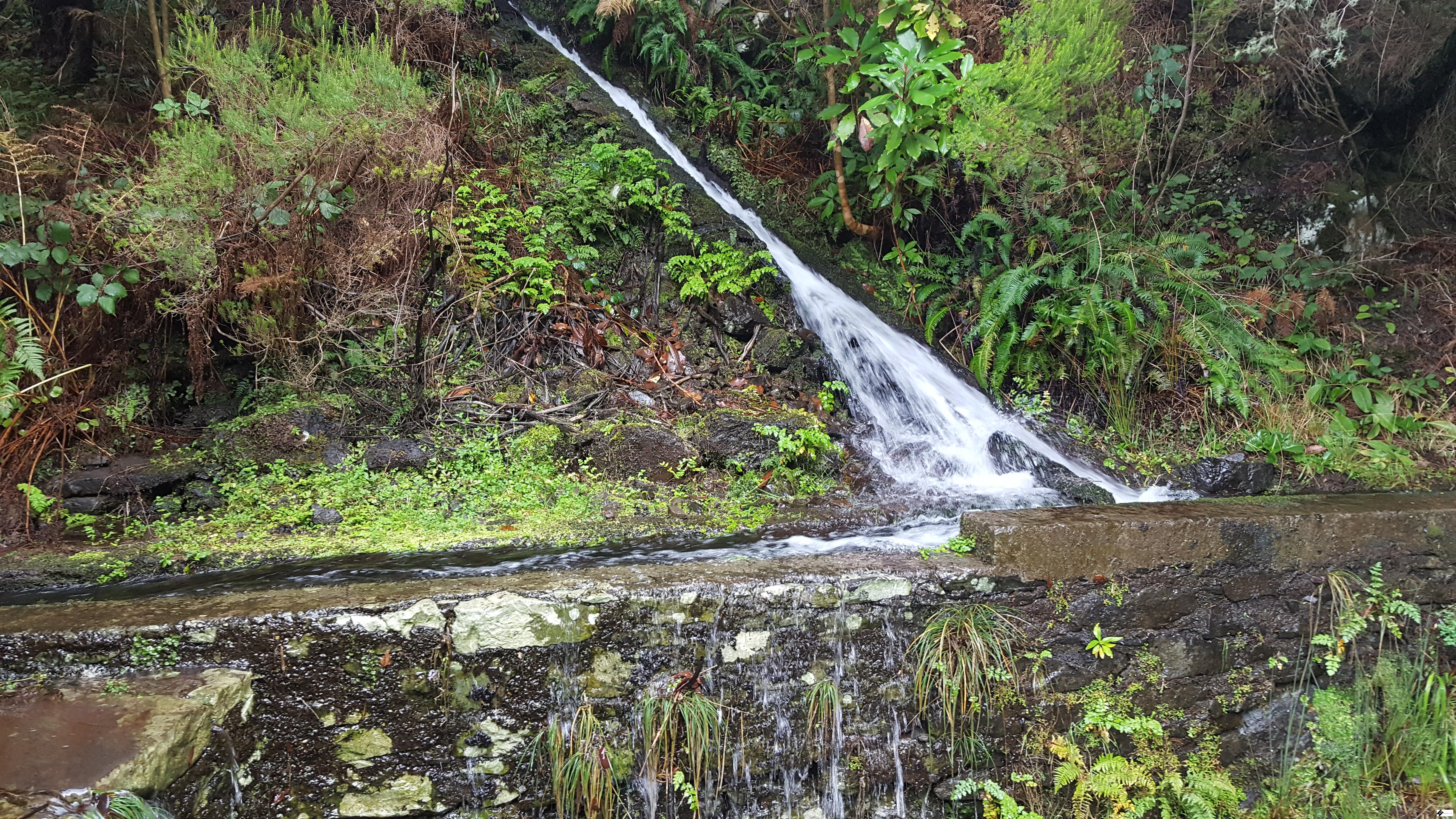 Things to do in Madeira Levada das 25 Fontes