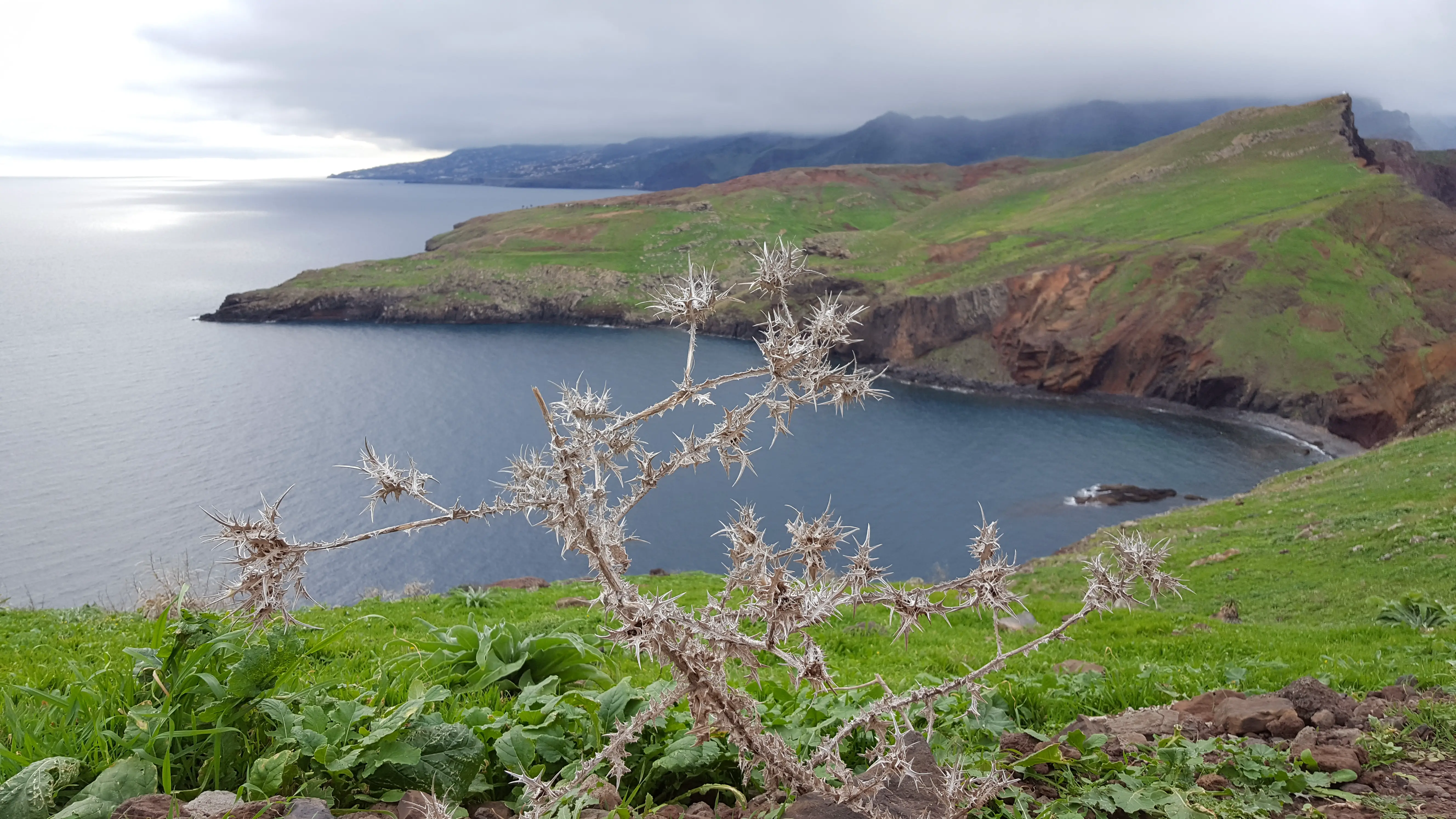 Things to do in Madeira Ponta de Sao Lourenco views