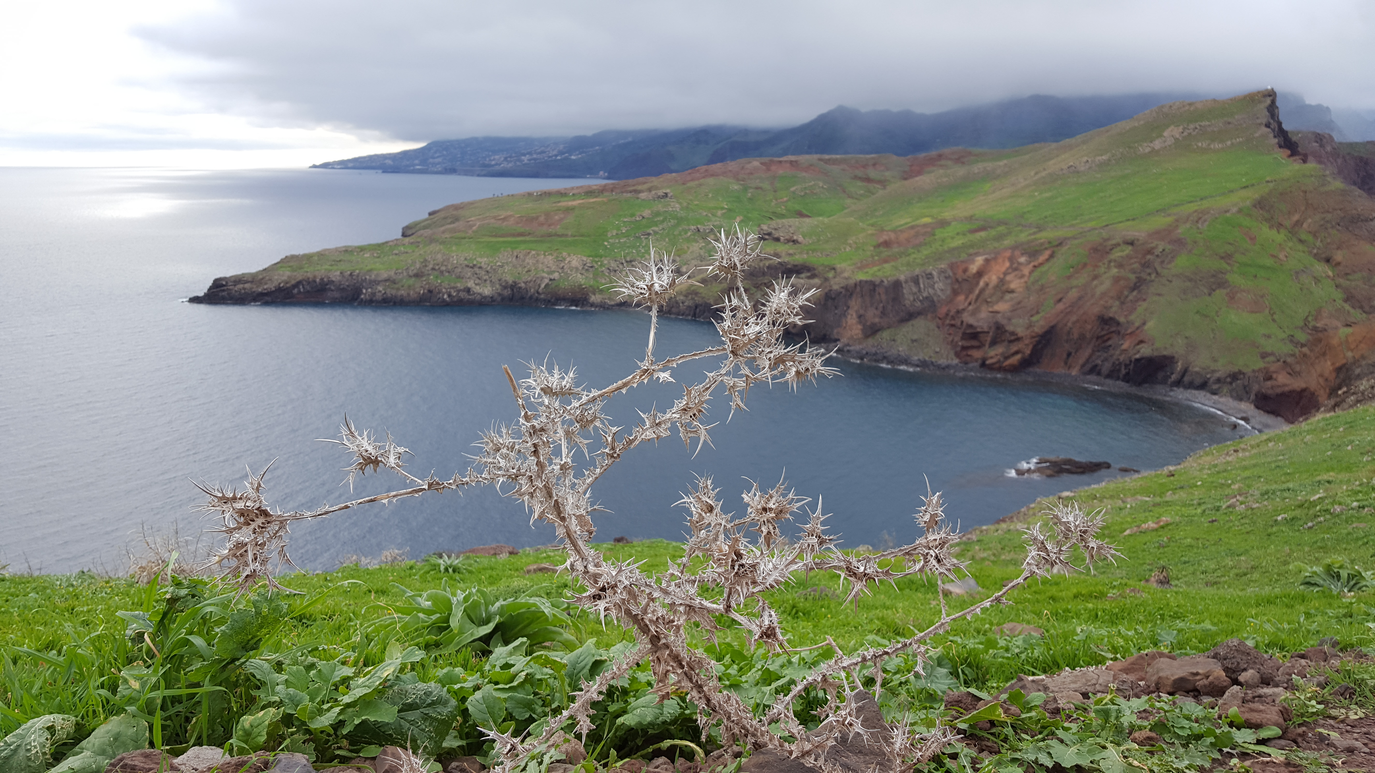 Things to do in Madeira Ponta de Sao Lourenco views