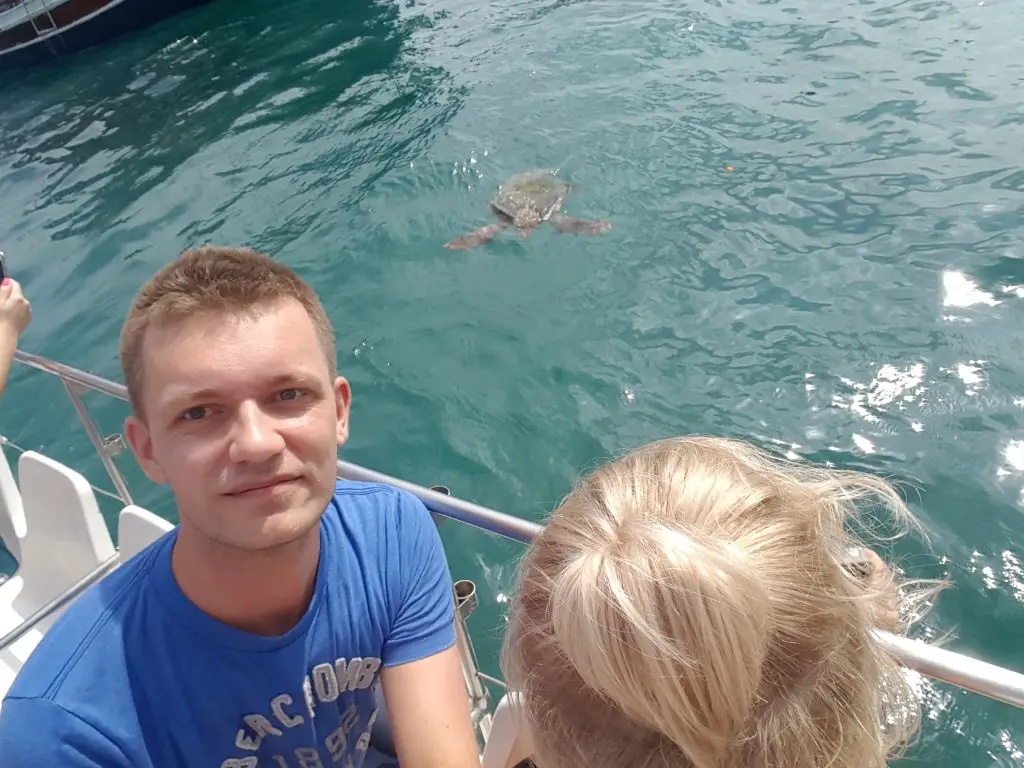 Things to do in Zakynthos - Boat Tour in Zante – Turtles spotting