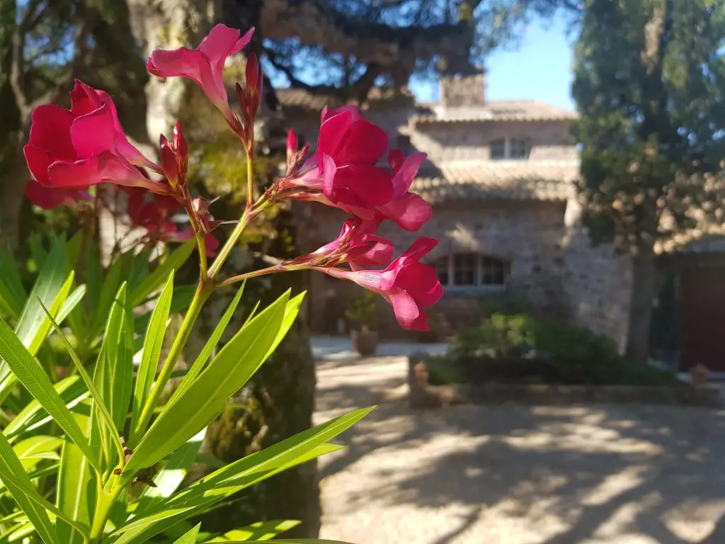 French Riviera things to do WHERE TO STAY ON THE FRENCH RIVIERA Cote d’Azur
