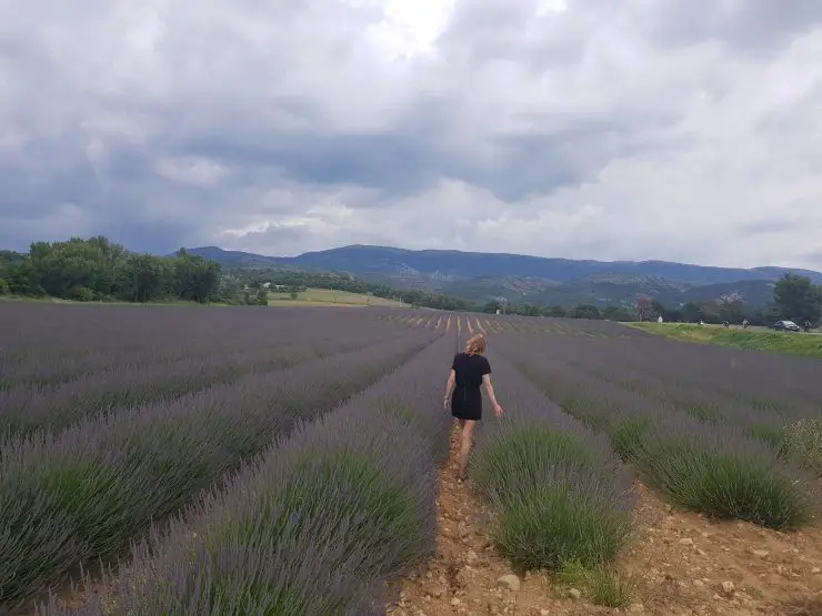 Travel Bucket List Ideas - Smell lavender in Provence France