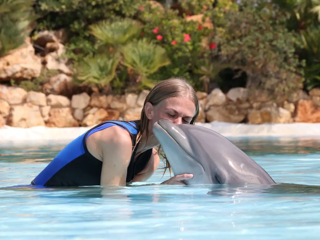 Travel Bucket List Ideas - Swim with dolphins Algarve Portugal