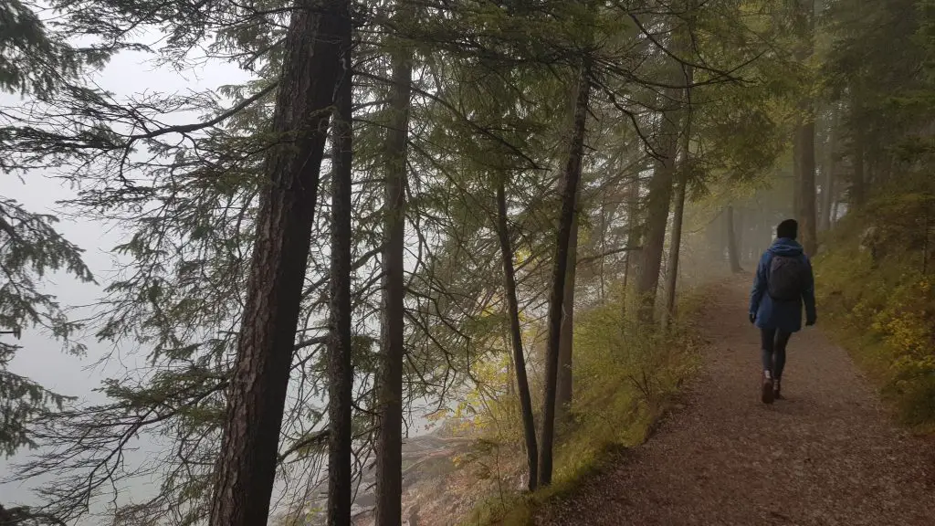 Eibsee Lake in Bavaria Germany -hike around the lake -forest