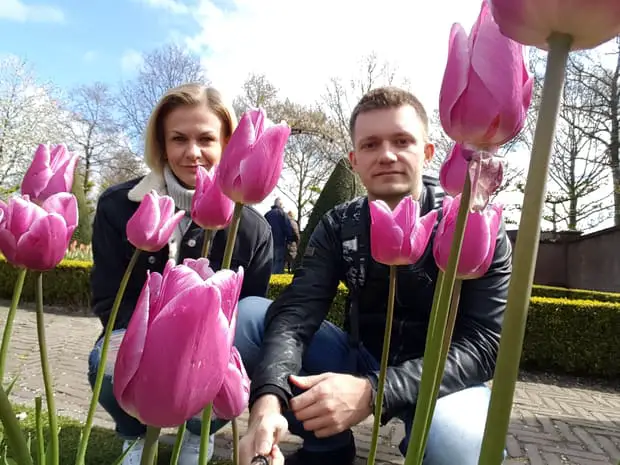 Tulip bloom Keukenhof gardens - Is it worth to visit Keukenhof tulip garden in Holland