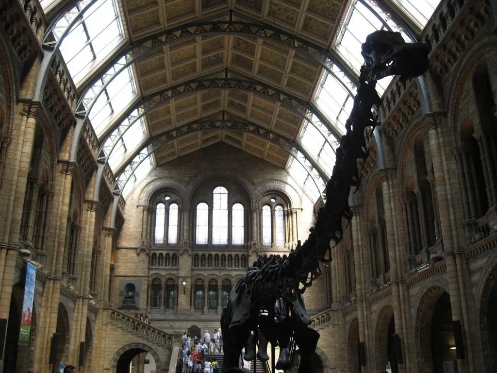 Bucket List Ideas UK - Natural Museum - things to do in the UK