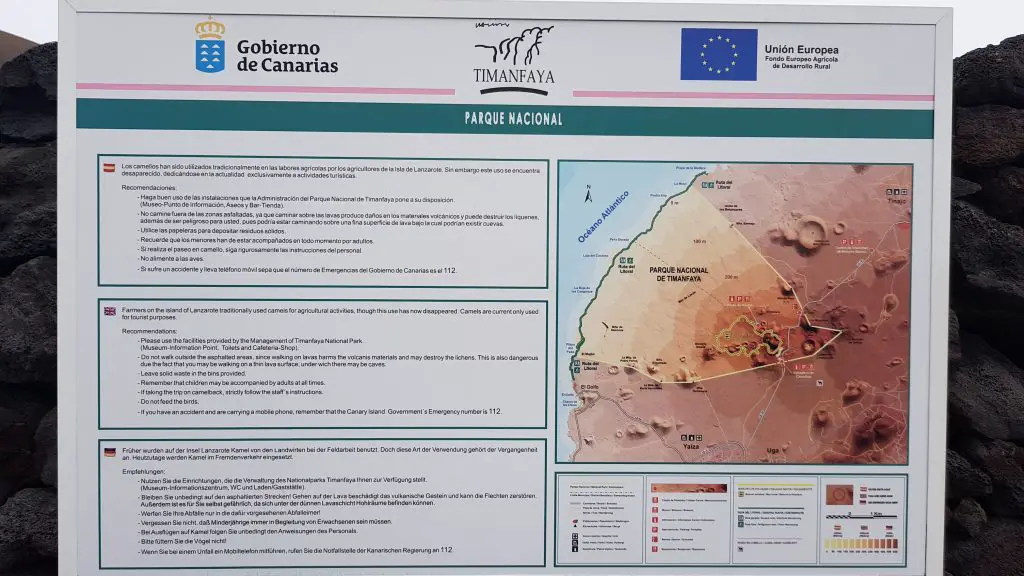 Things to do in Lanzarote - Camel Ride Spain