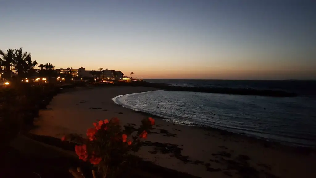 Things to do in Lanzarote - Playa Flamingo Beach