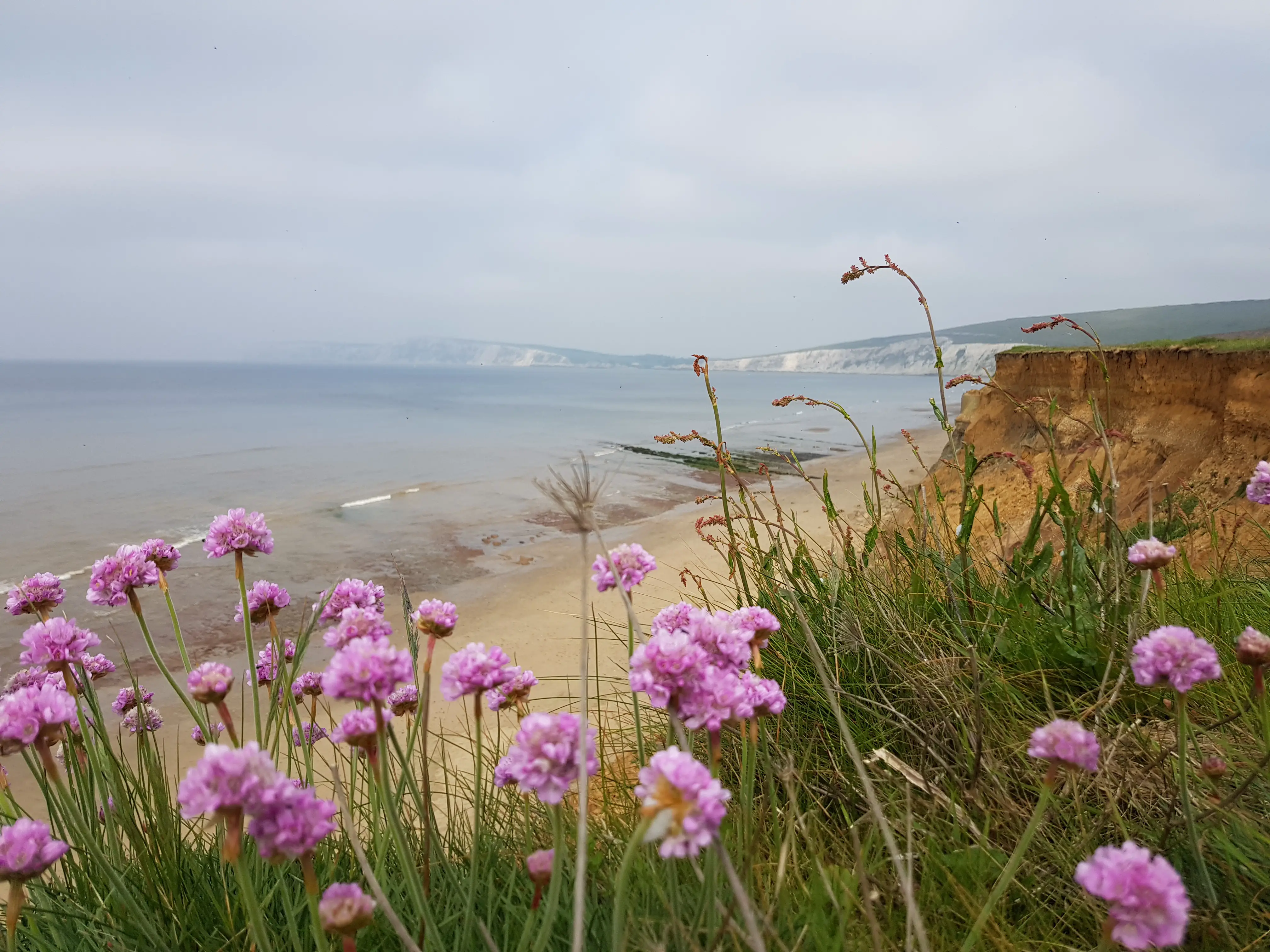 Isle of Wight things to do – TOP attractions on the Isle of Wight