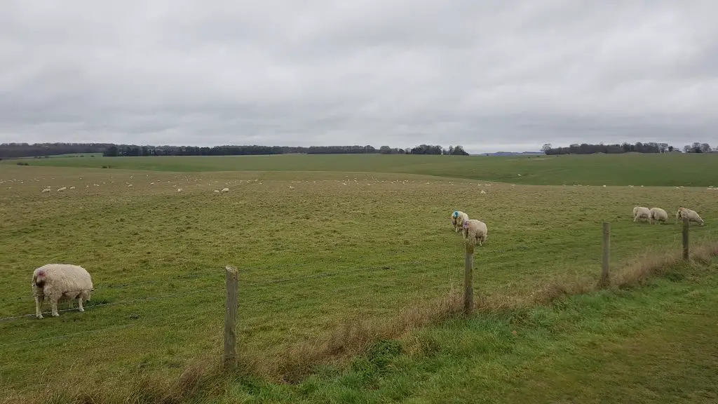 Visiting Stonehenge - Planning your Stonehenge visit - Stonehenge Landscape