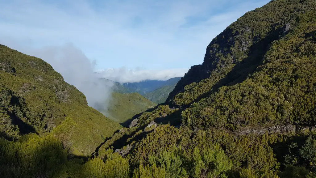 Madeira Island