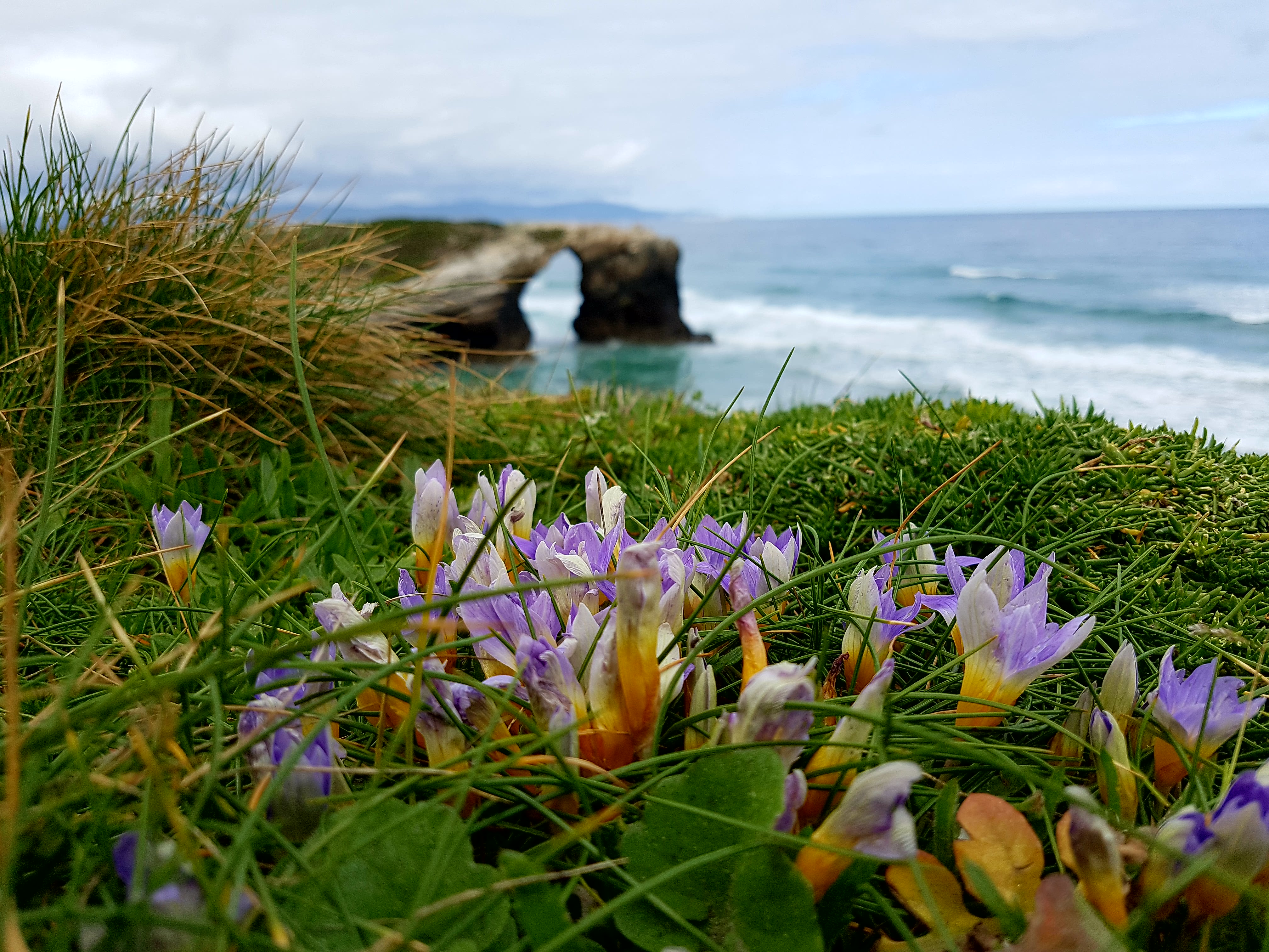 As Catedrais Beach