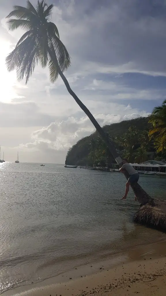 Marigot Bay - Things to do in St Lucia