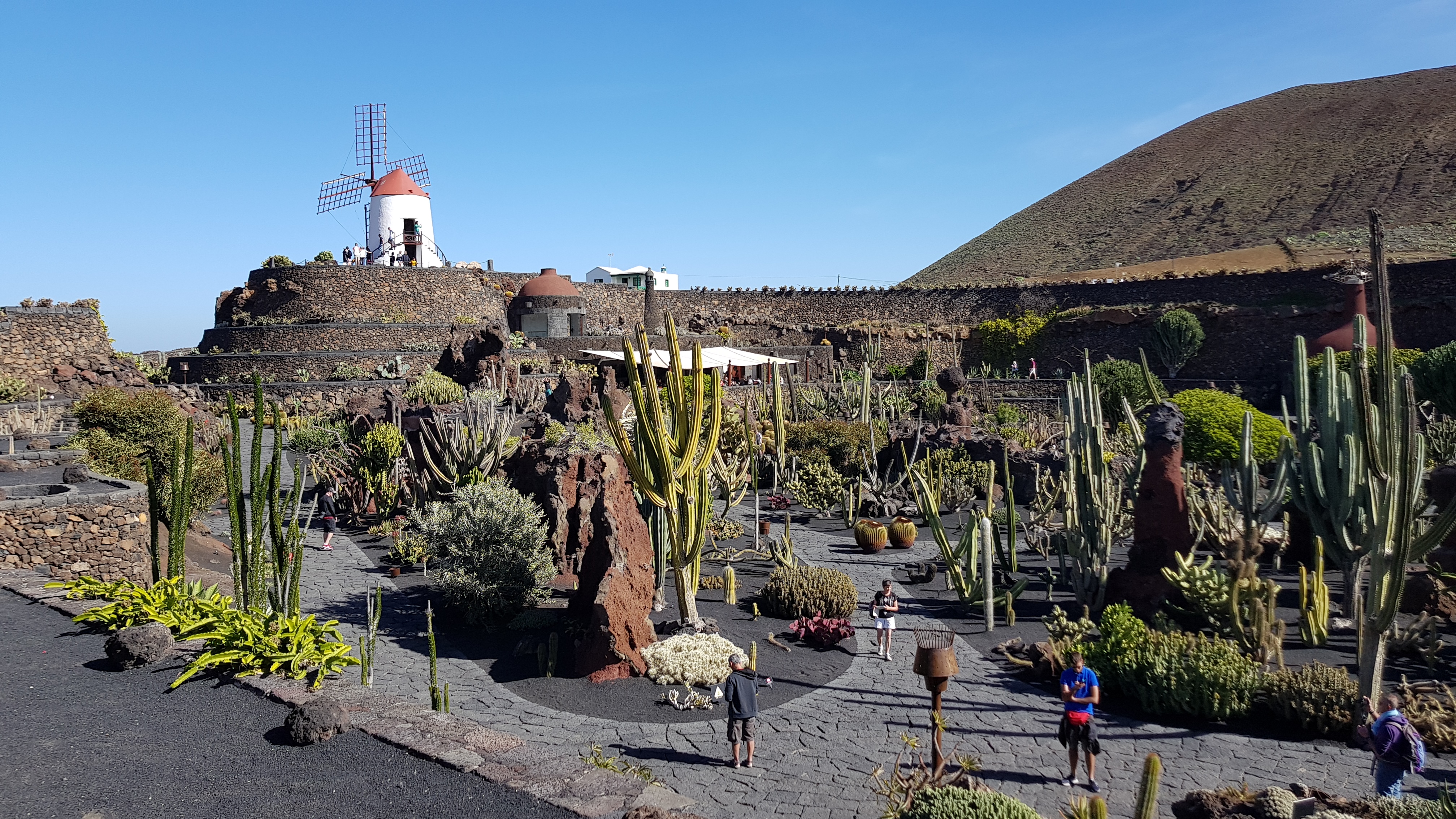 Christmas in Lanzarote