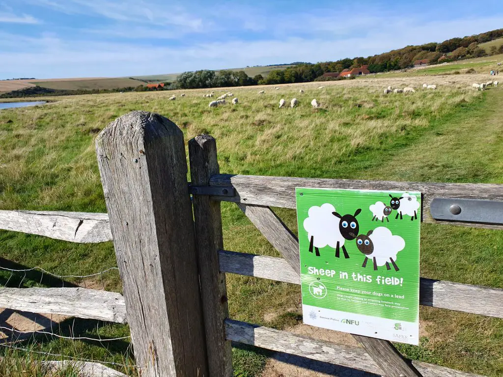 Cuckmere Valley