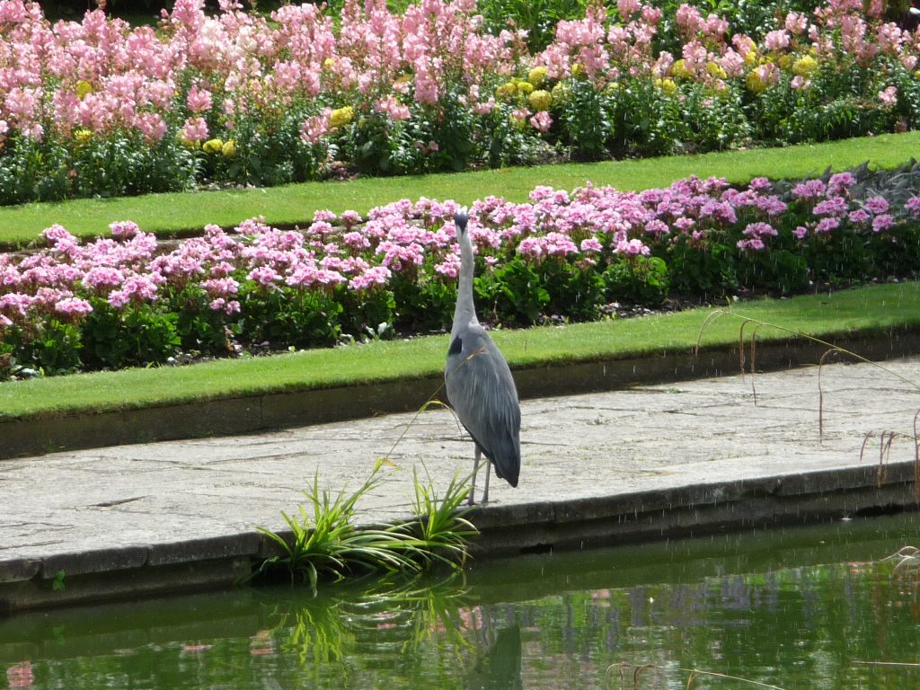 Romantic places in London - Hyde Park