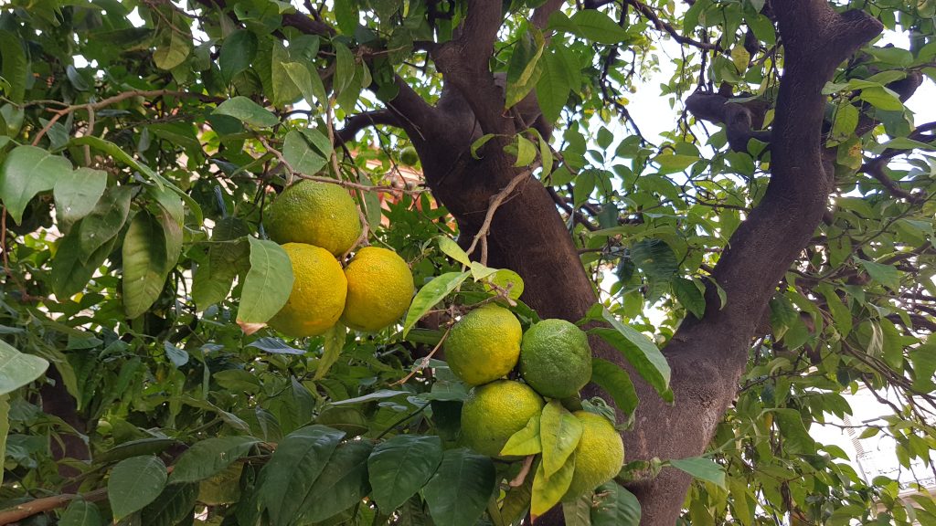 August in Spain