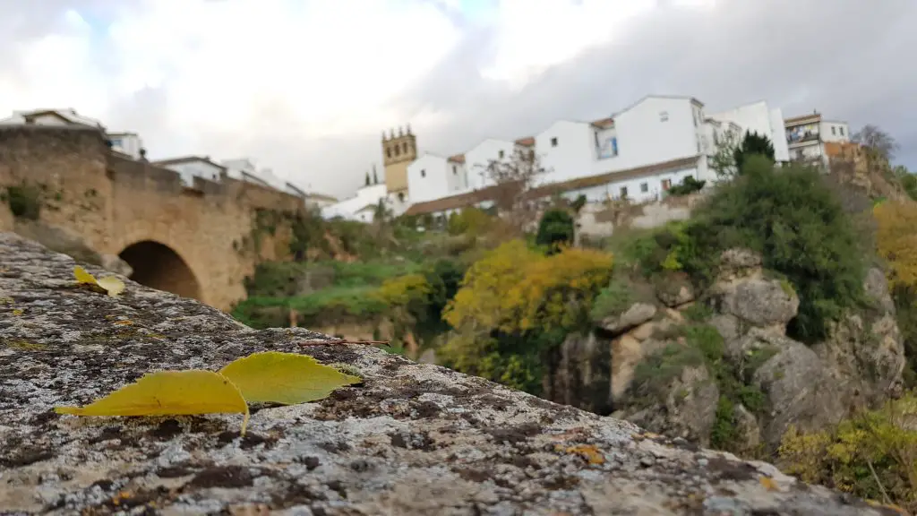 Spring and Fall in Spain