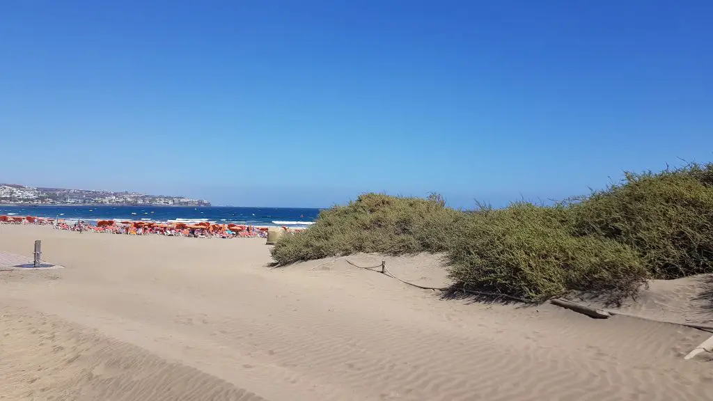 Best beaches in Gran Canaria - Playa Ingles