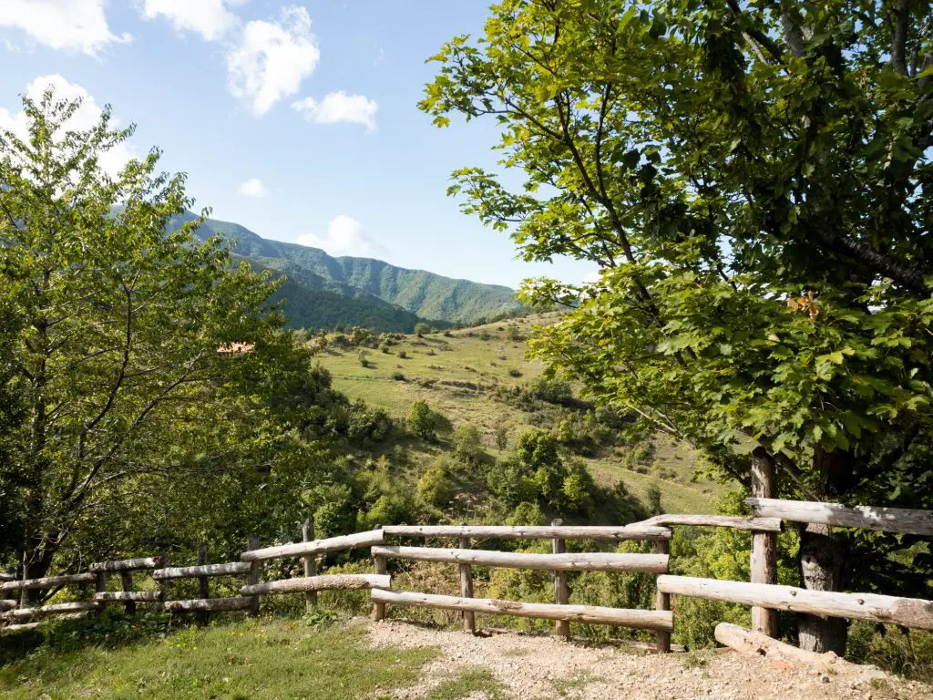 Foreste Casentinesi - best places to go in Italy