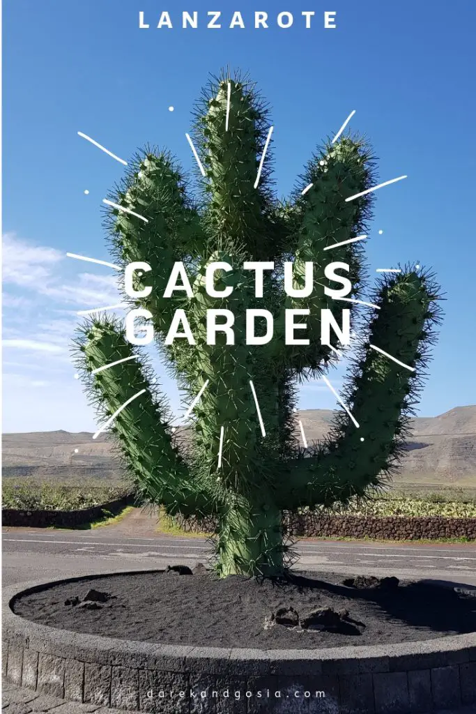 Cactus Garden LANZAROTE - Canary Islands, Spain