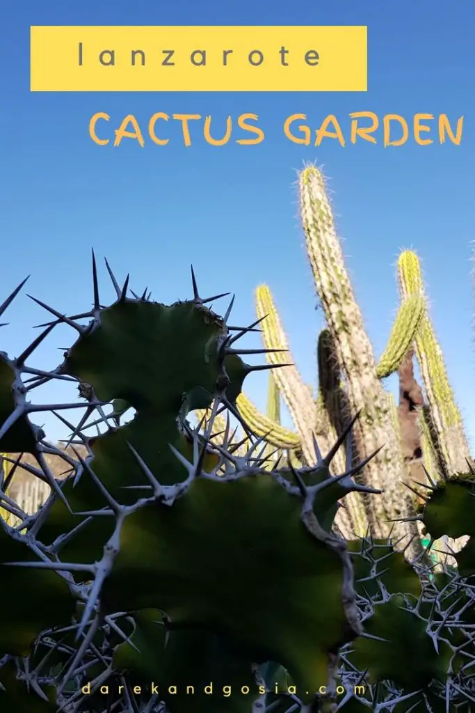 Cactus Garden in Lanzarote