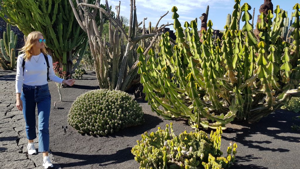 What's the best time to see Jardín de Cactus