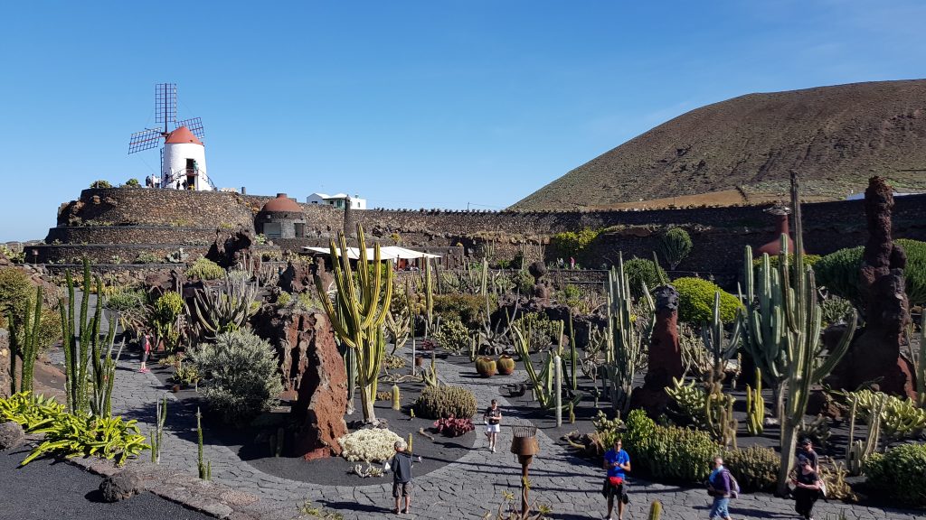 Where is Cactus Garden in Lanzarote