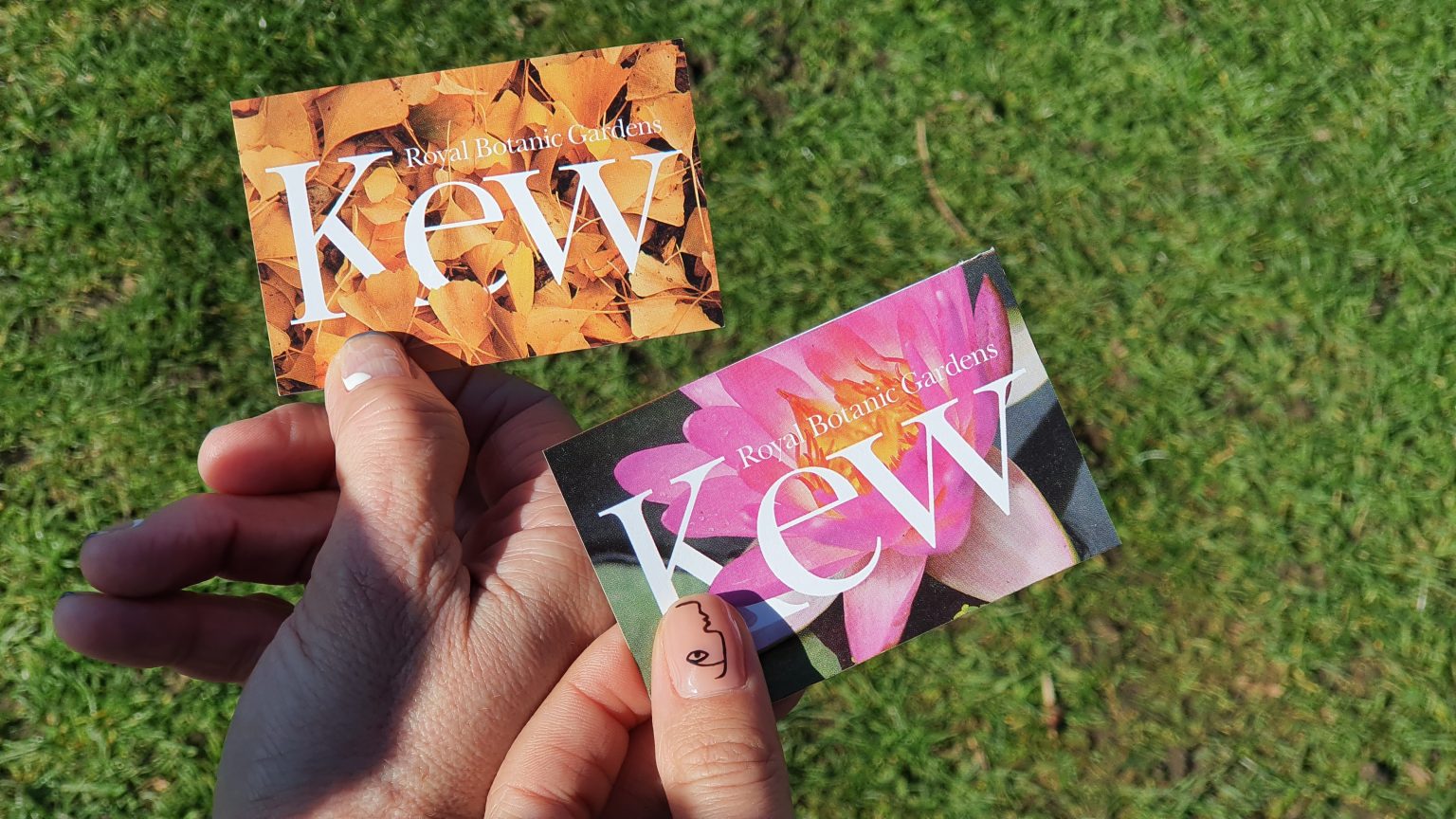 Visiting Kew Gardens London is the park worth it?