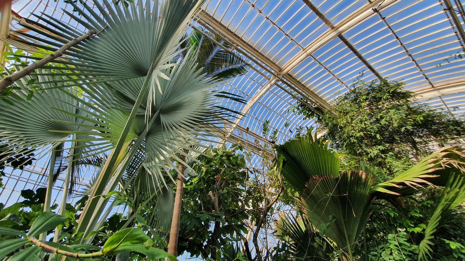 Visiting Kew Gardens London is the park worth it?