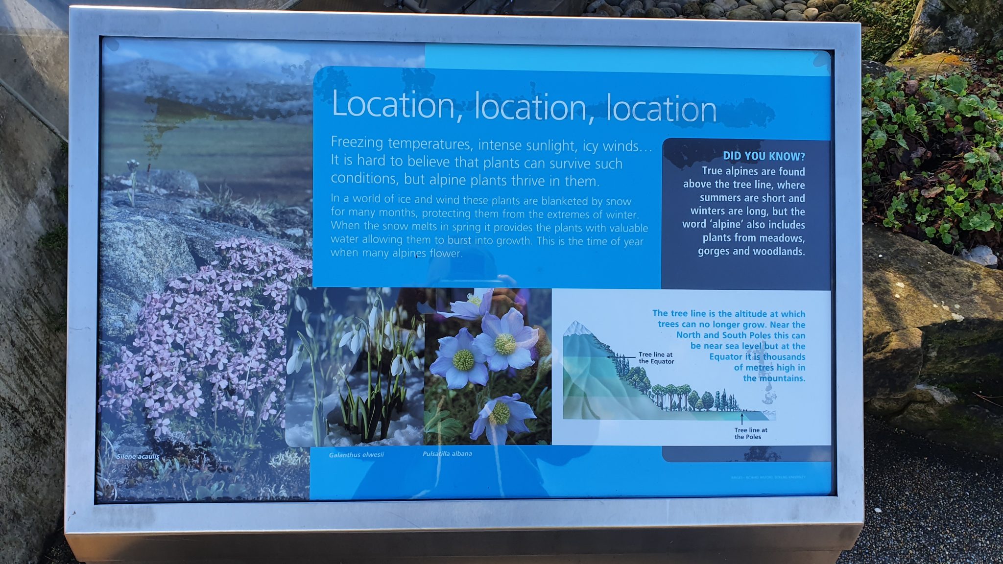 Visiting Kew Gardens London is the park worth it?