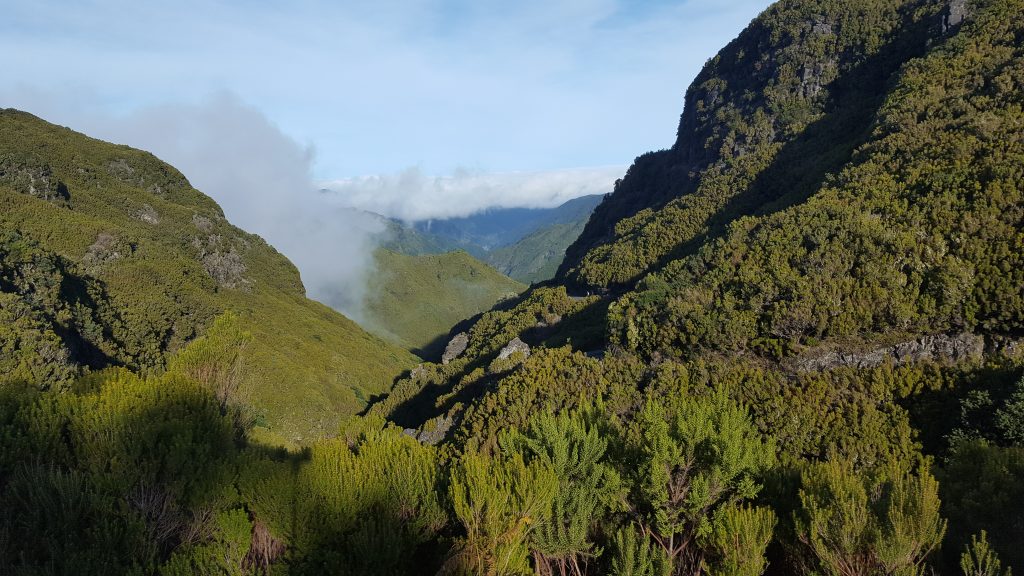 Best UNESCO World Heritage Sites in Europe - Laurissilva of Madeira, Portugal