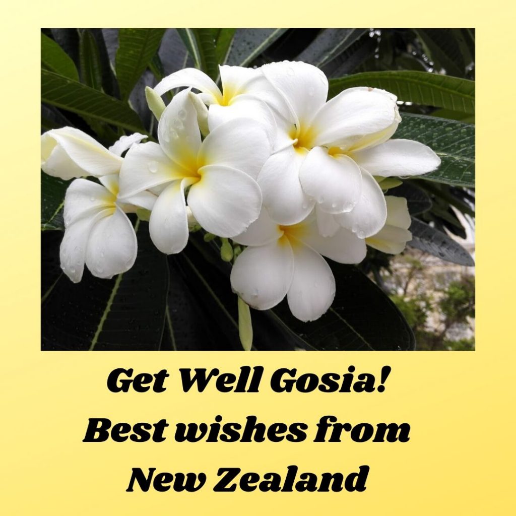 Get Well Gosia! Best wishes from New Zealand