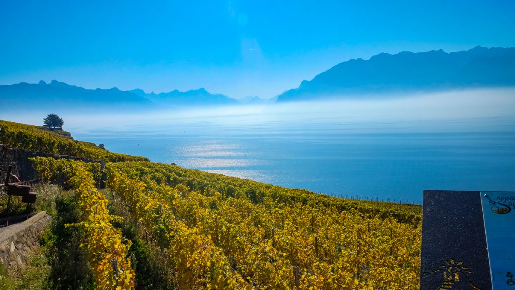 UNESCO sites in Europe - Lavaux, Vineyard Terraces, Switzerland