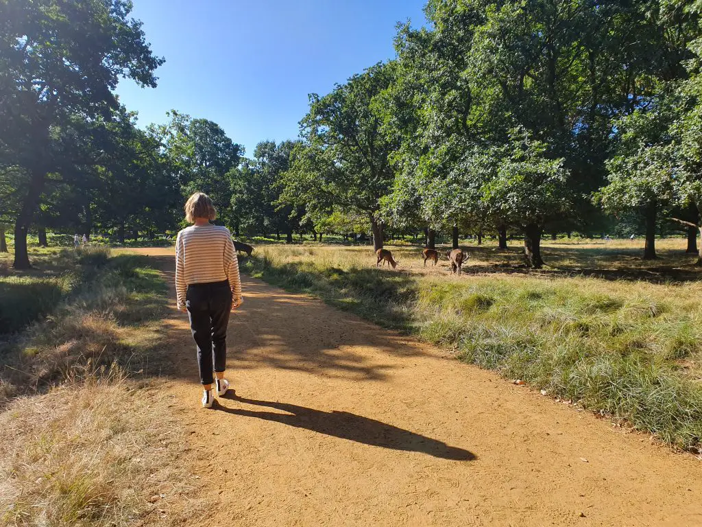 Best walks near London - Richmond Park