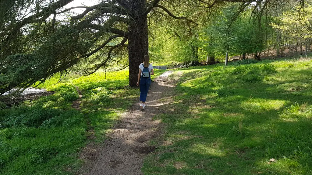 Hiking near London - The Oak Trail