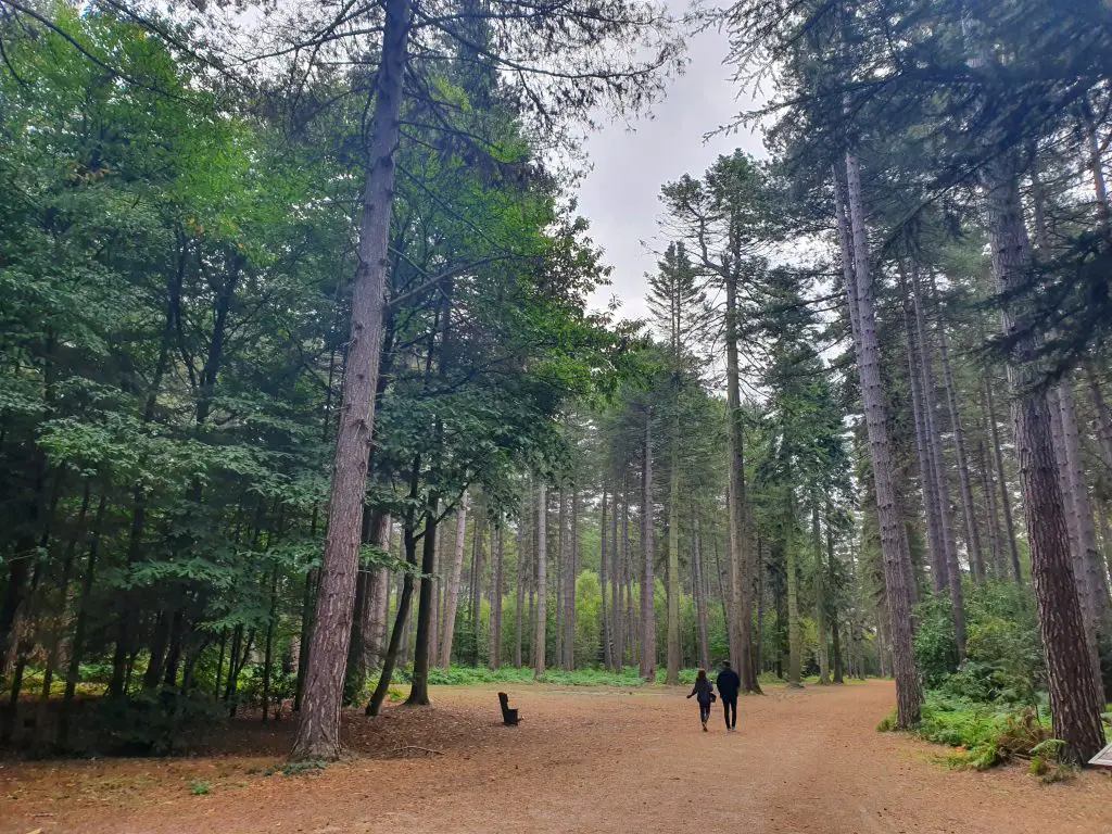 Hiking near me London - Black Park Country Park