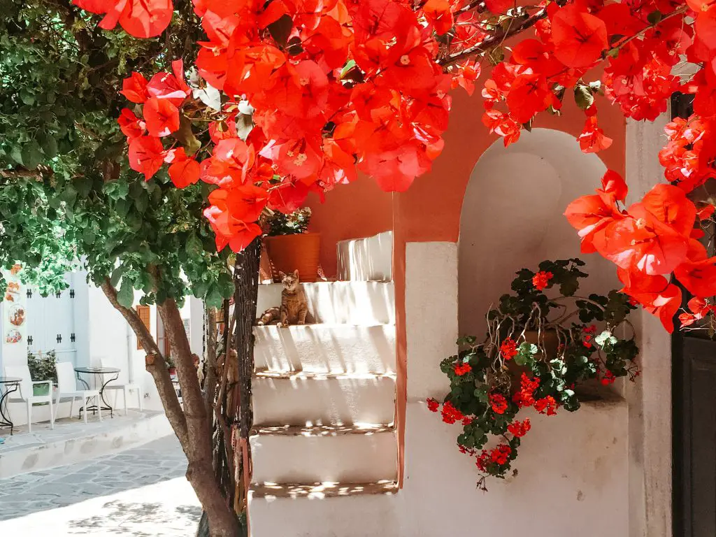 Most beautiful villages in Europe - Chalki, Greece (Naxos)