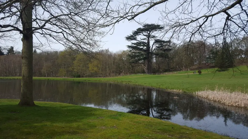 Scenic walks near London - Painshill Park, Cobham