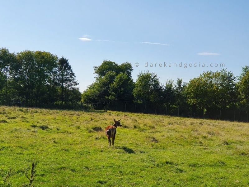 Best weekend breaks UK - Devon