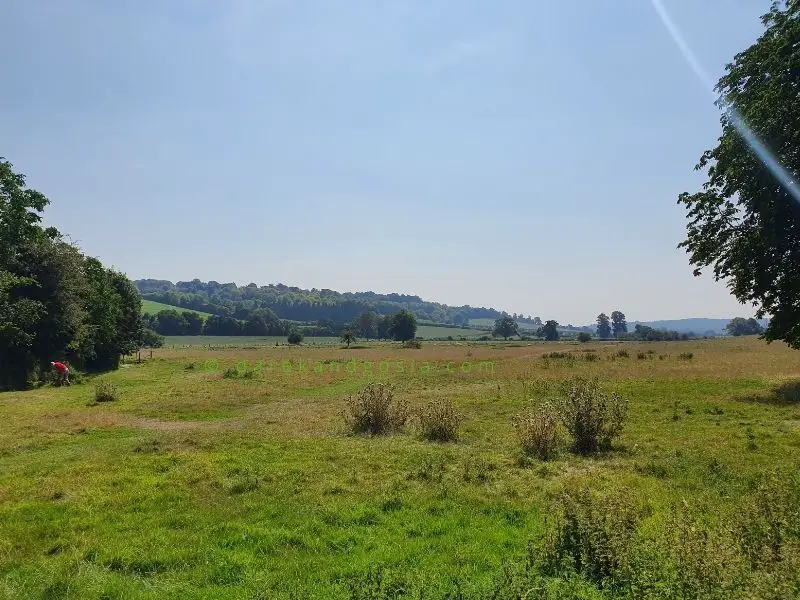 Hambleden Mill to Henley-On-Thames