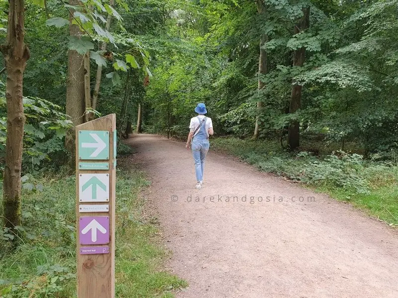 Wendover Woods walks