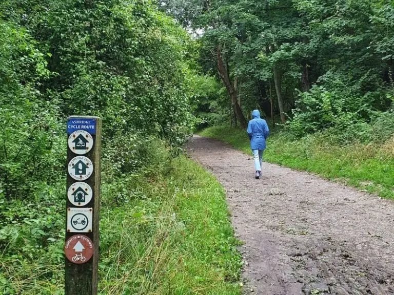 Hiking near London Top 30 coastal & circular walks near me!