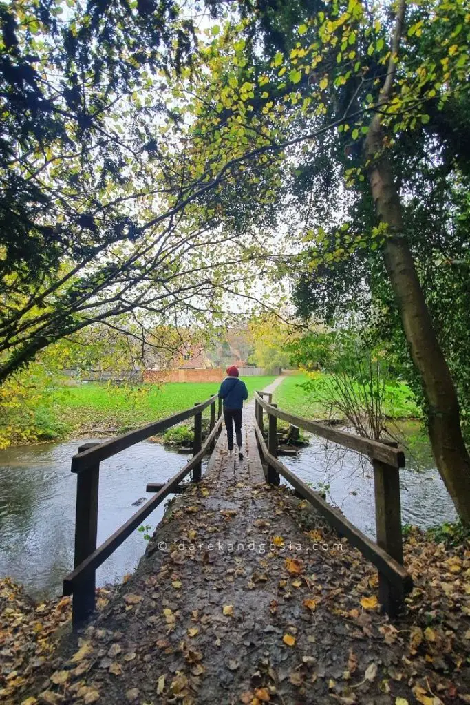 Best things to do in Shere Surrey - River Tillingbourne