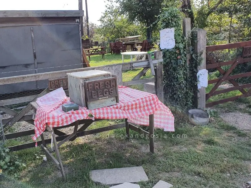 Things to do in Dorchester on Thames Oxfordshire - Fresh Eggs from the Locals