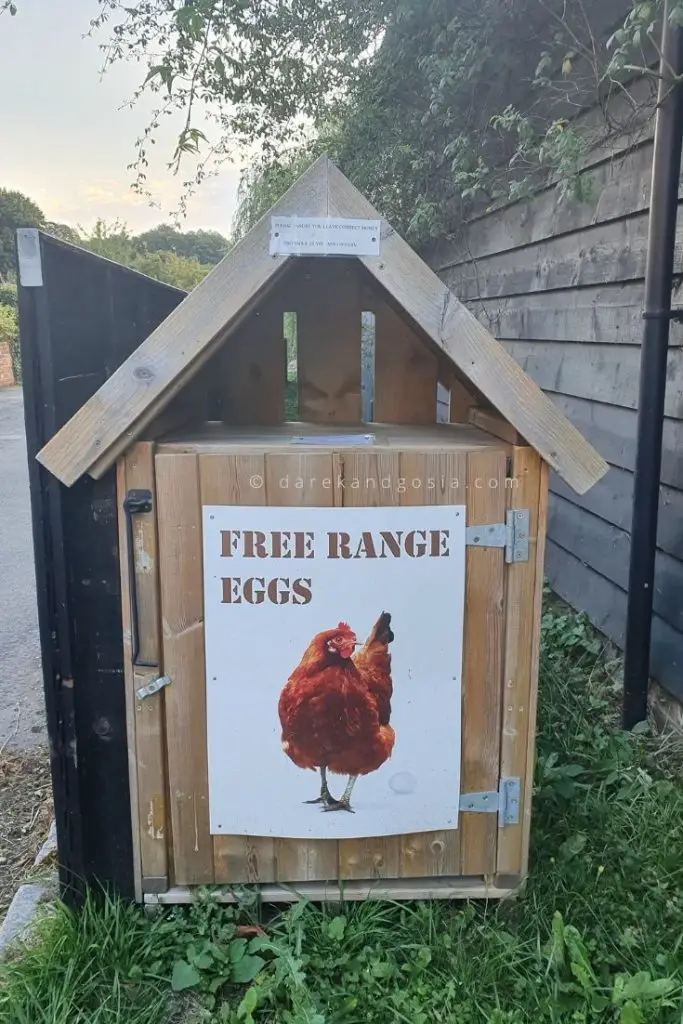 Things to do in Little Missenden Village Buckinghamshire - Get free-range eggs from locals